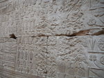 P_EGY-319