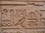 P_EGY-325