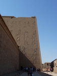 P_EGY-328
