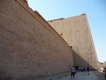 P_EGY-329