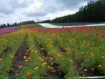 DSCN0346