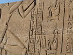 P_EGY-339