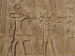 P_EGY-341