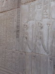 P_EGY-344