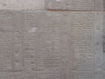 P_EGY-345