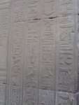 P_EGY-346