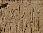 P_EGY-349