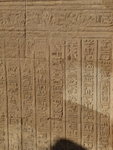 P_EGY-350