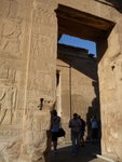 P_EGY-352