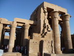 P_EGY-354