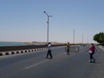 P_EGY-441