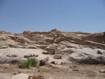 P_EGY-449