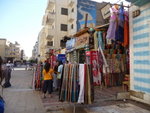 P_EGY-454