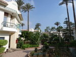 P_EGY-508