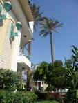 P_EGY-511