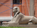 P_EGY-515