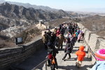 IMG_0235_s