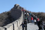 IMG_0241_s