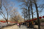 IMG_0318_s