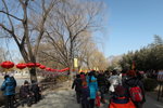 IMG_0319_s
