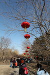 IMG_0323_s