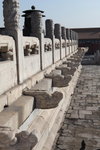 IMG_0432_s