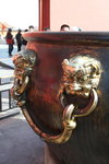 IMG_0436_s