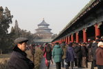 IMG_0538_s