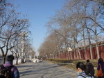 P1060482_s