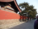 P1060555_s