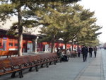 P1060559_s