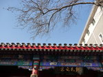 P1060622_s
