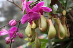 IMG_0620_r