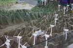 IMG_1430_r
