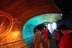 IMG_1511_r1