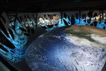 IMG_2769_r