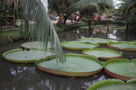 IMG_3648_r