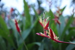IMG_3655_r
