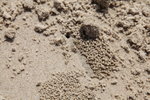 IMG_3627_r