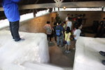 IMG_3892_r