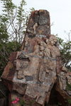 IMG_3500_r