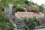 IMG_3509_r
