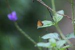IMG_4847