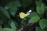 IMG_4862