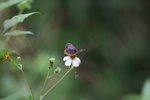 IMG_4871