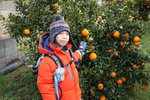 IMG_5286_r