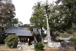 IMG_5289_r