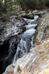 IMG_5332_r