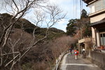 IMG_5335_r