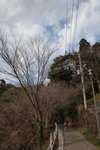 IMG_5337_r